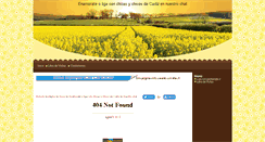 Desktop Screenshot of cadizligar.webpin.com